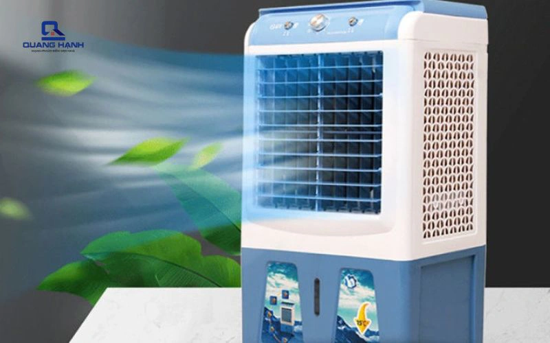 Tổng hợp các loại quạt