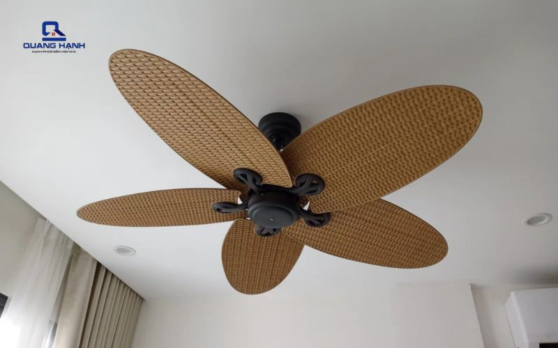 Tổng hợp các loại quạt