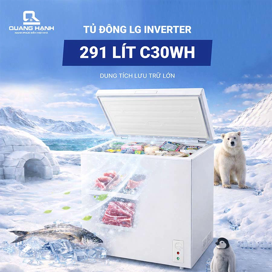 Tủ đông LG Inverter 291 lít C30WH QH246969 1