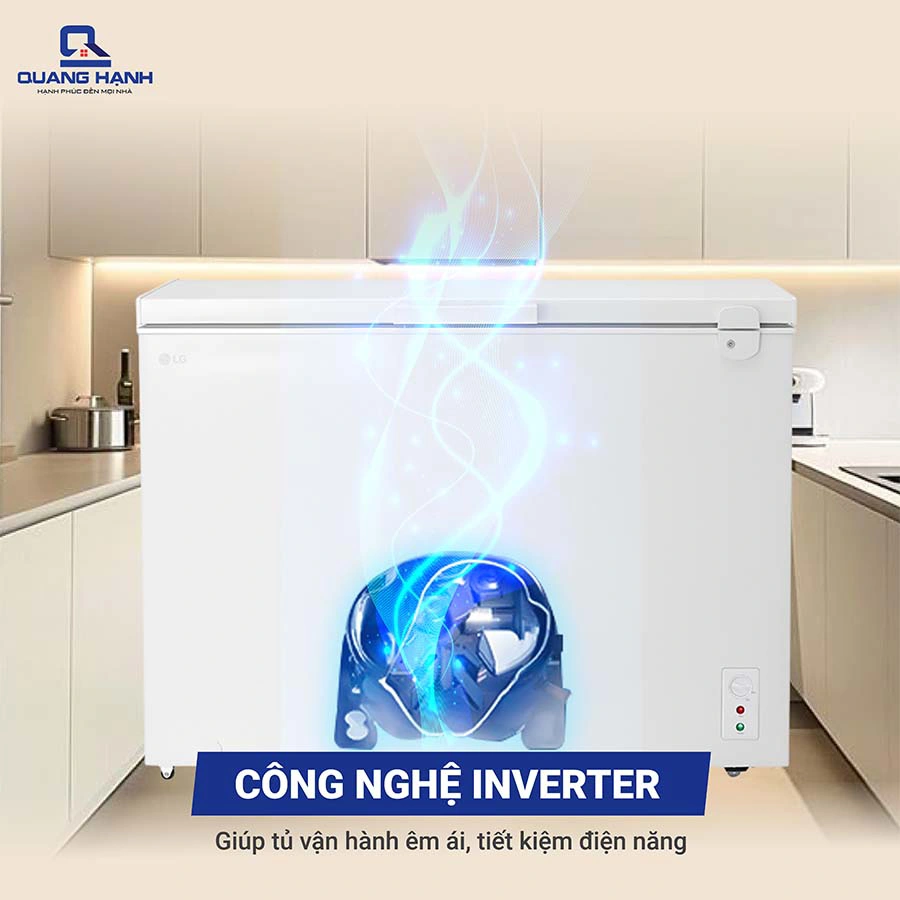 Tủ đông LG Inverter 291 lít C30WH QH246969 6