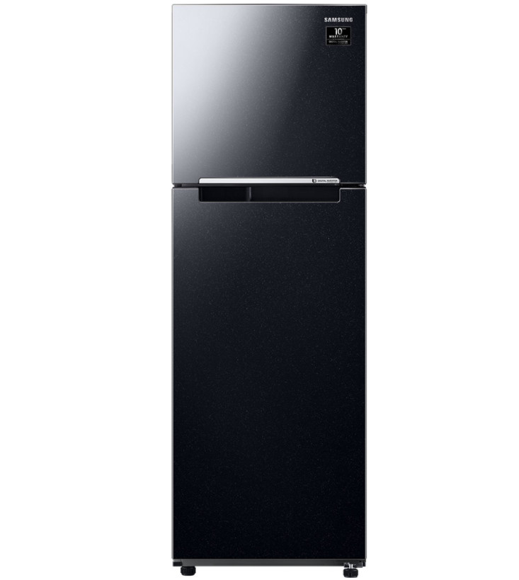 Tủ lạnh Samsung Inverter 256 lít RT25M4032BU
