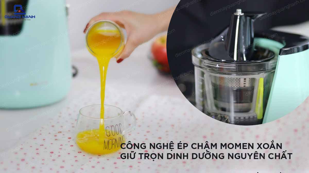 Máy ép chậm KALITE KL 598 8308 3