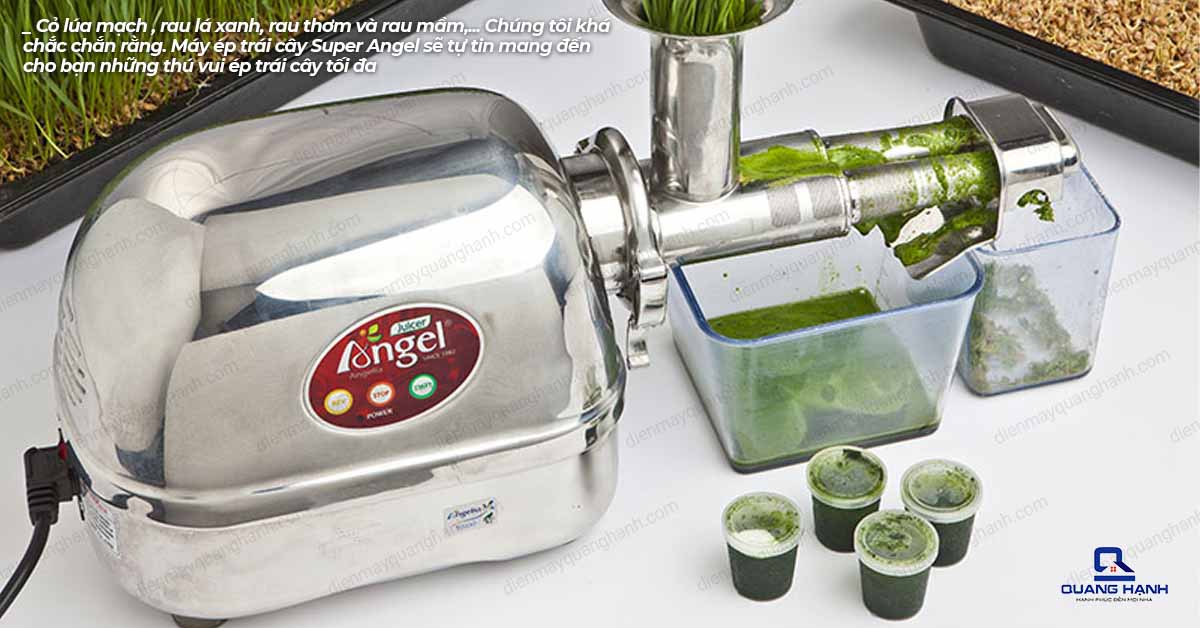 Máy Ép Chậm Angel Model 5500