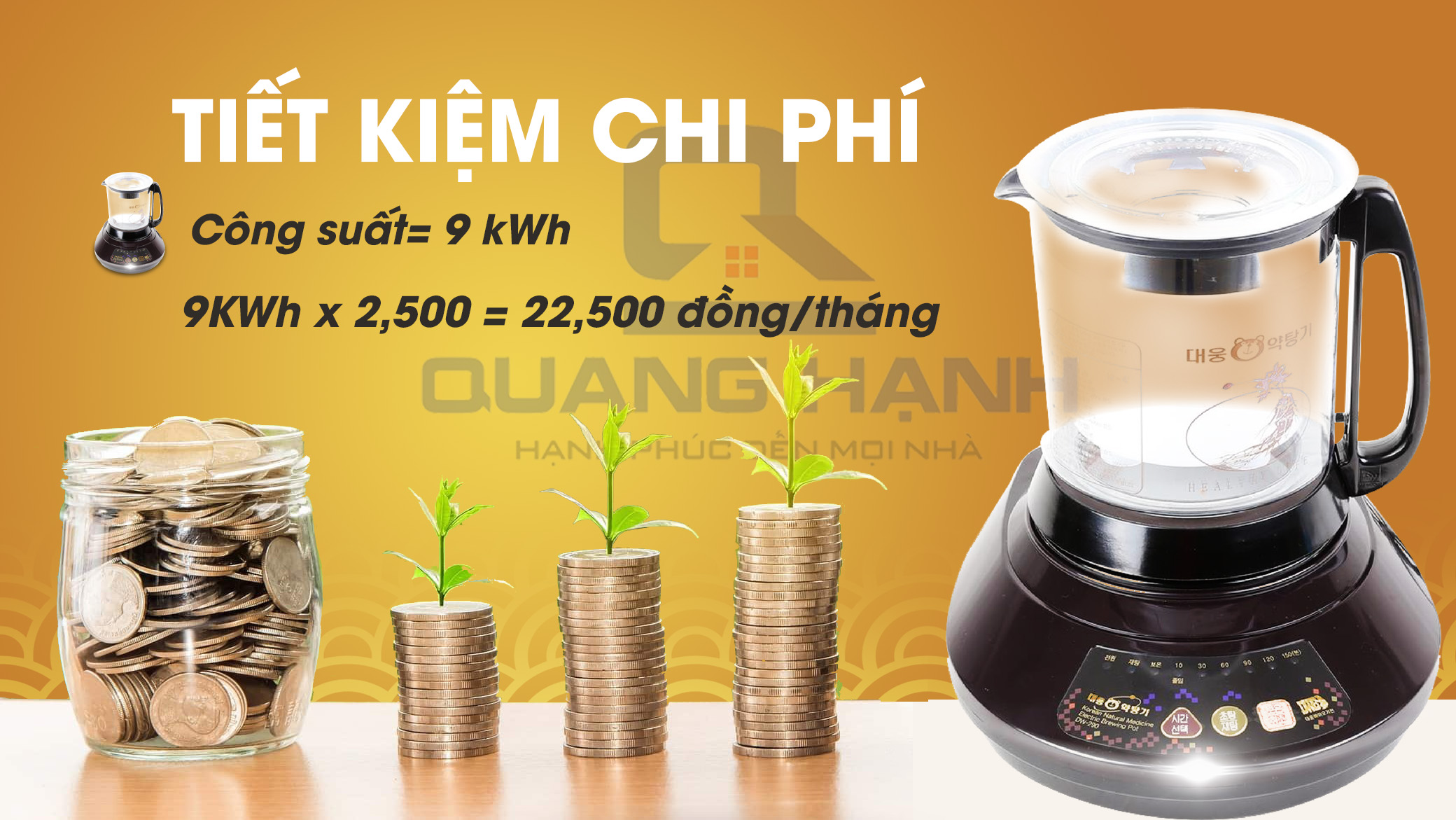 Ấm sắc thuốc Daewoong DW-290