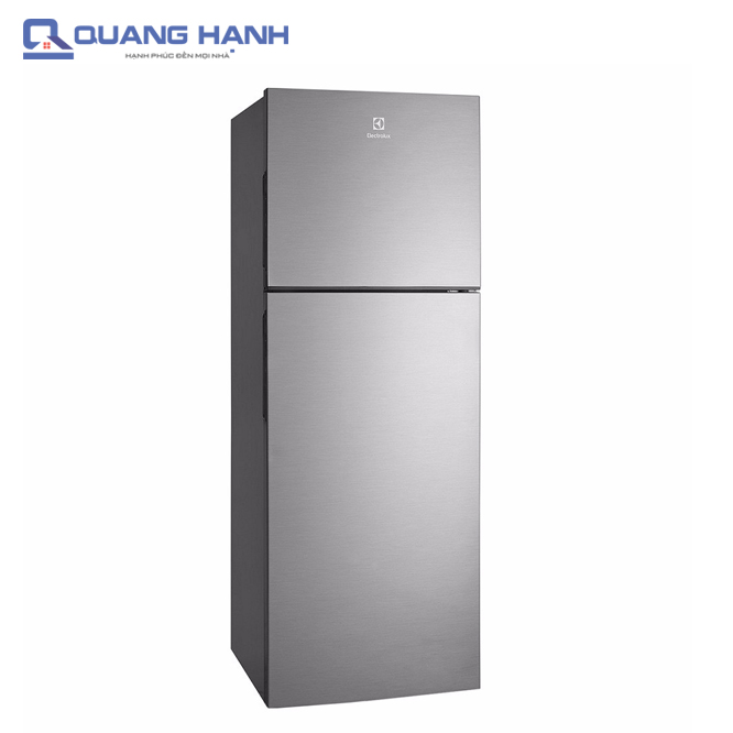 Tủ lạnh Electrolux ETB2100MG 231L