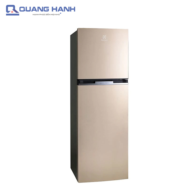Tủ lạnh Electrolux Inverter ETB3200GG 339 lít