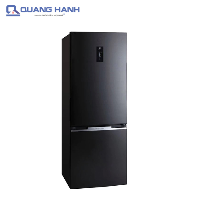 Tủ lạnh Electrolux EBE3500BG 343 lít