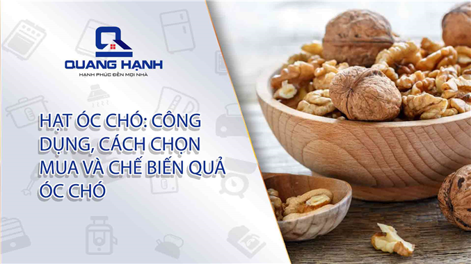 Hạt óc chó: Công dụng, Cách chọn mua và chế biến quả óc chó
