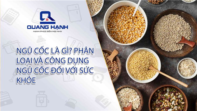 Ngũ cốc là gì? Phân loại và công dụng ngũ cốc đối với sức khỏe