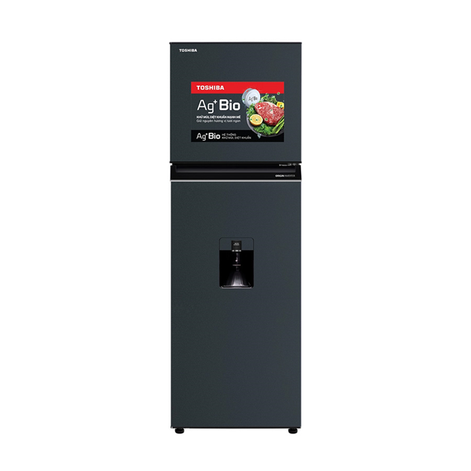 Tủ lạnh Toshiba 249 lít GR-RT325WE-PMV(06)-MG