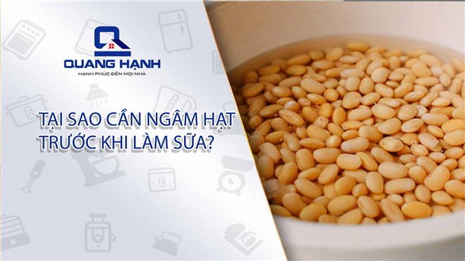 Tại sao cần ngâm hạt trước khi làm sữa?