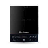 Bếp từ Bluestone ICB-6610 2000W
