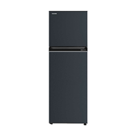 Tủ lạnh Toshiba 233 lít GR-RT303WE-PMV(52)