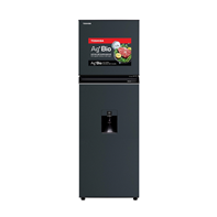 Tủ lạnh Toshiba 249 lít GR-RT325WE-PMV(06)-MG