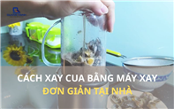 Cách xay cua bằng máy xay sinh tố đơn giản tại nhà