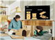 /Upload/avatar/55-inch-qled-4k-smart-tv-qa55q63.jpg