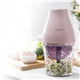 /Upload/avatar/ava website-1/ava-philips-hr-2507-3.jpg