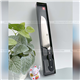 /Upload/avatar/content-2024/zwilling-38407181-5.jpg