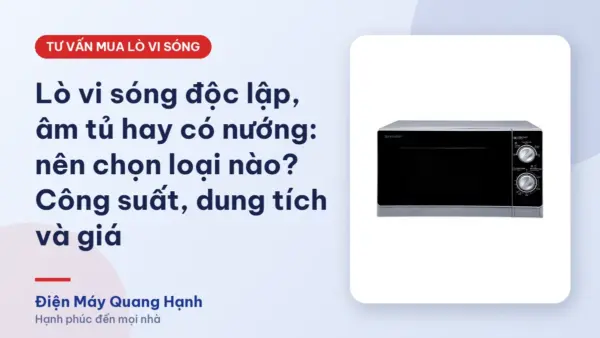 Lò vi sóng độc lập, âm tủ hay có nướng: nên chọn loại nào? Công suất, dung tích và giá