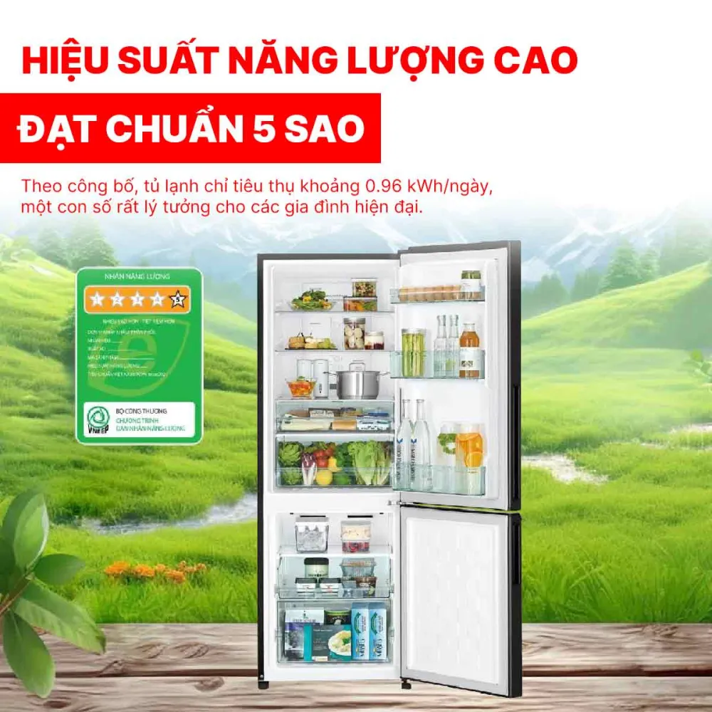 Tủ lạnh Hitachi Inverter 275 lít R-B330PGV8 BSL
