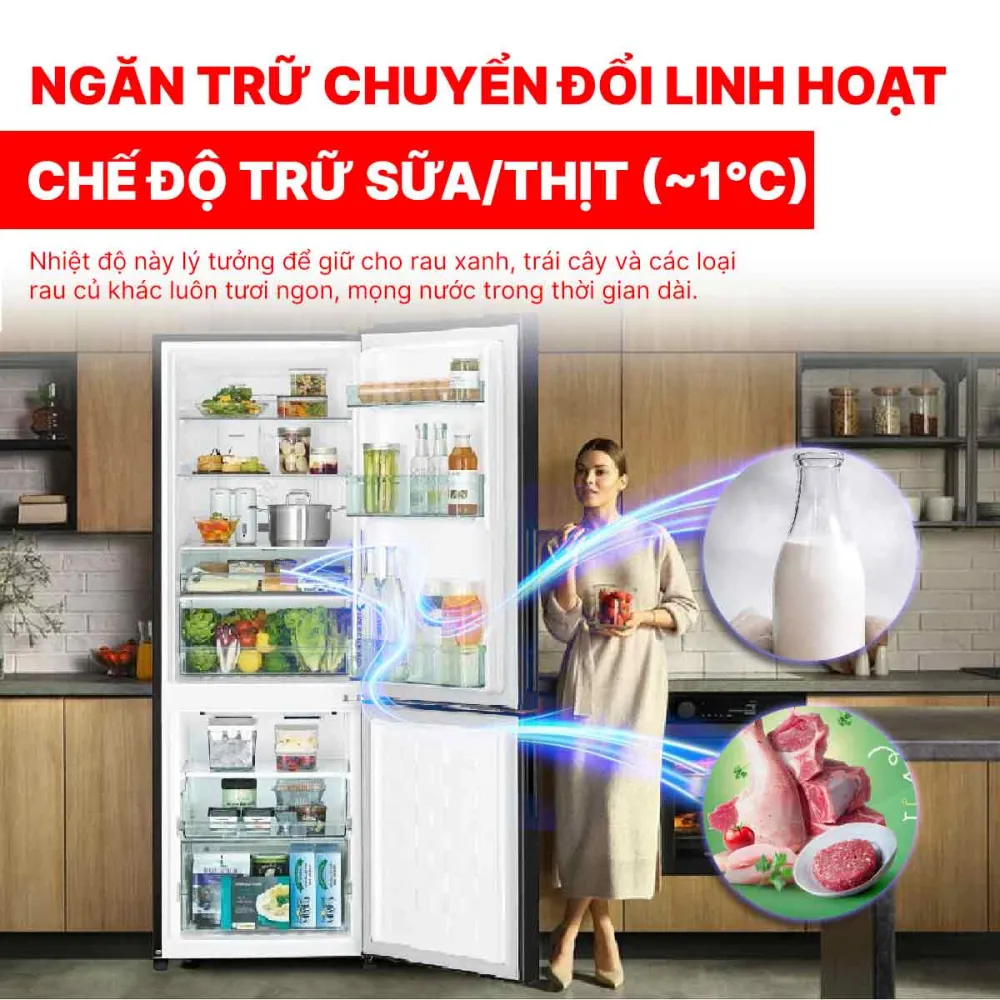 Tủ lạnh Hitachi Inverter 275 lít R-B330PGV8 BSL