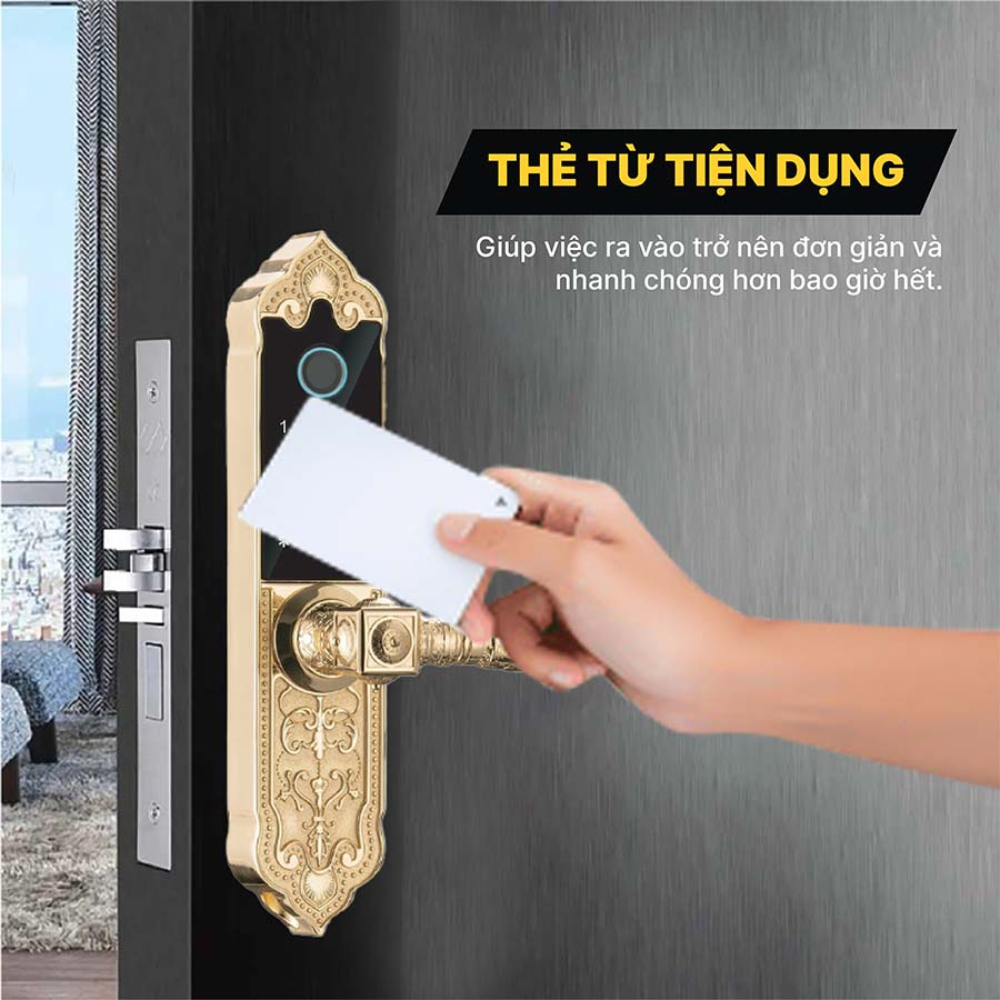 Khóa điện tử Hubert HB DS79F GOLD