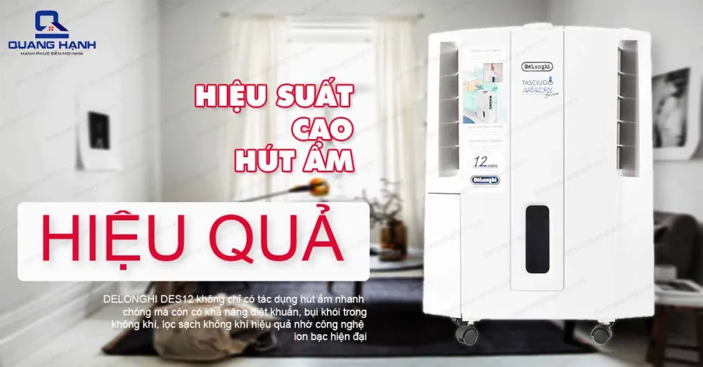 Máy hút ẩm DELONGHI DES12 hiệu suất cao, hút ẩm hiệu quả