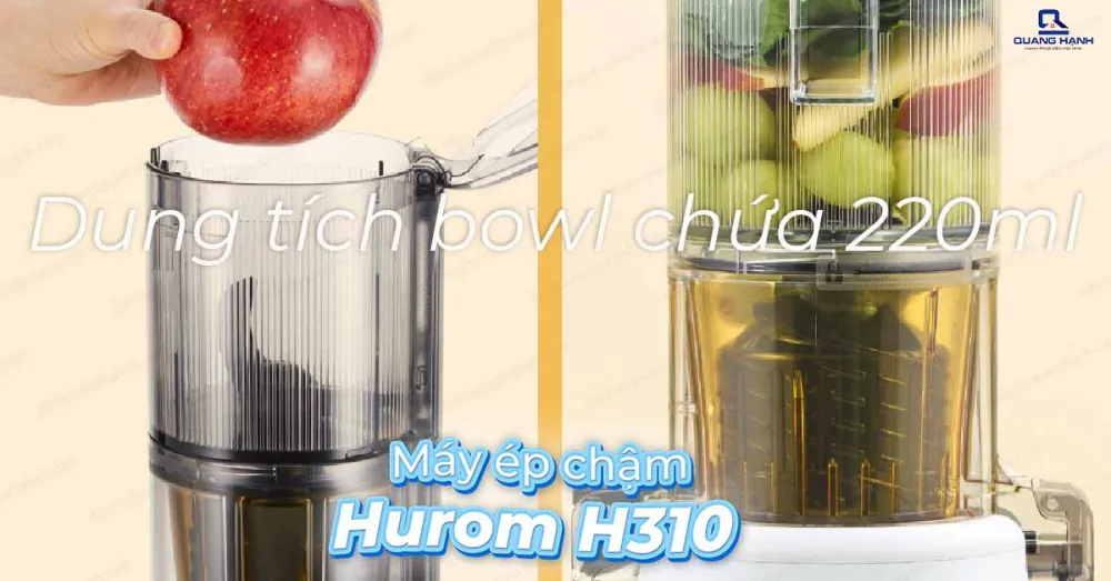 Máy ép trái cây Hurom H310