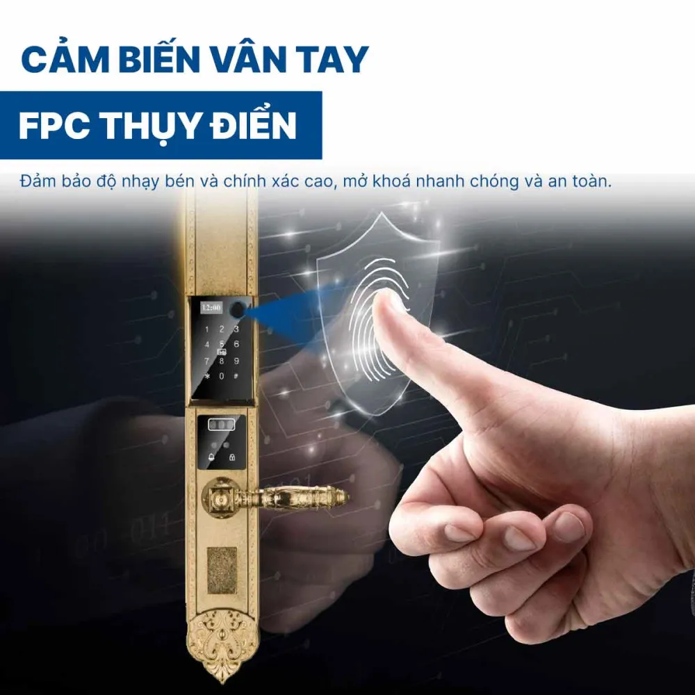 Khoá điện tử Hyundai HY-SLC8817 Gold