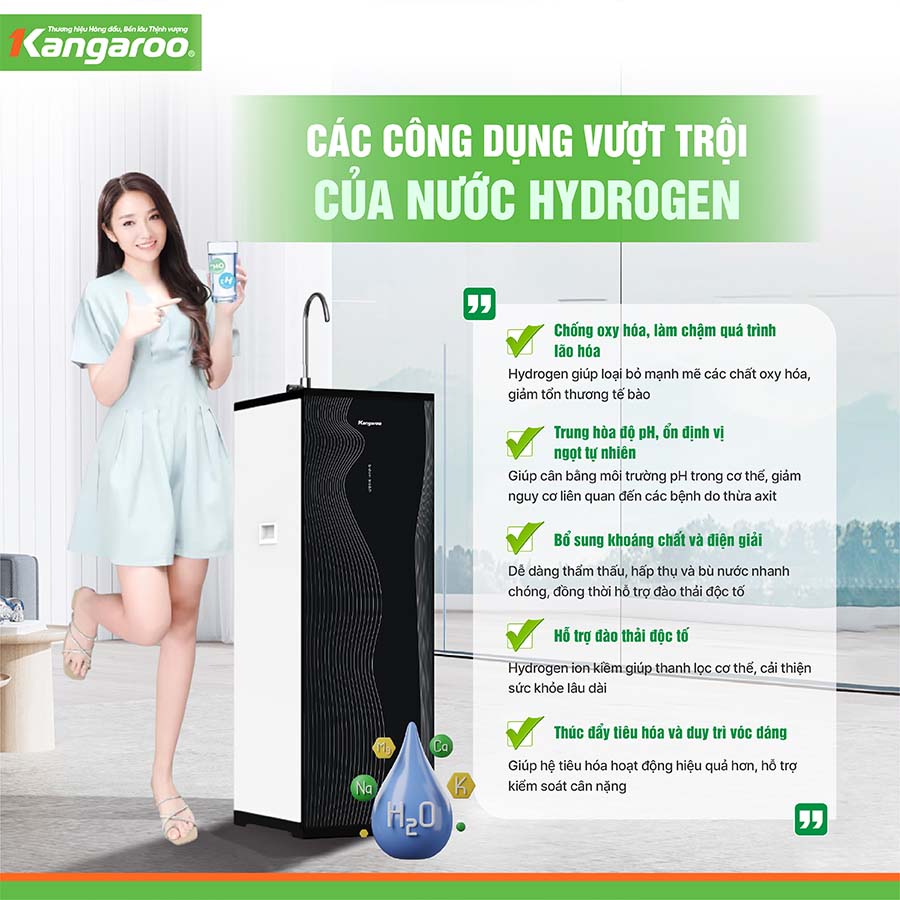 Máy lọc nước Kangaroo Hydrogen KG100HC3