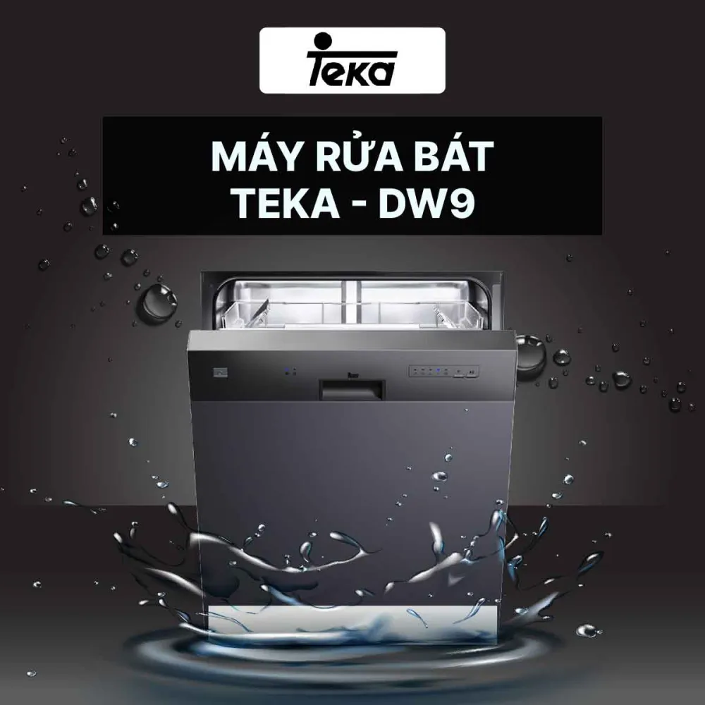 Teka DW9 55 S