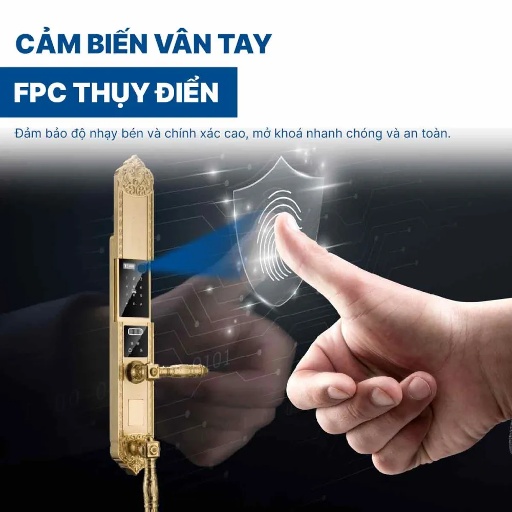 Khoá điện tử Hyundai đại sảnh HY-SLC8818 Gold