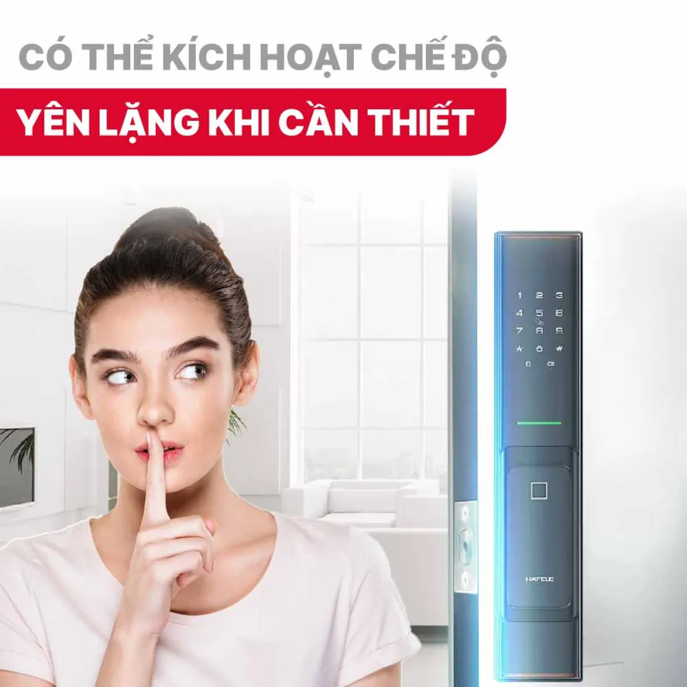 Khóa điện tử Hafele PP8100 912.20.261 Màu vàng đồng