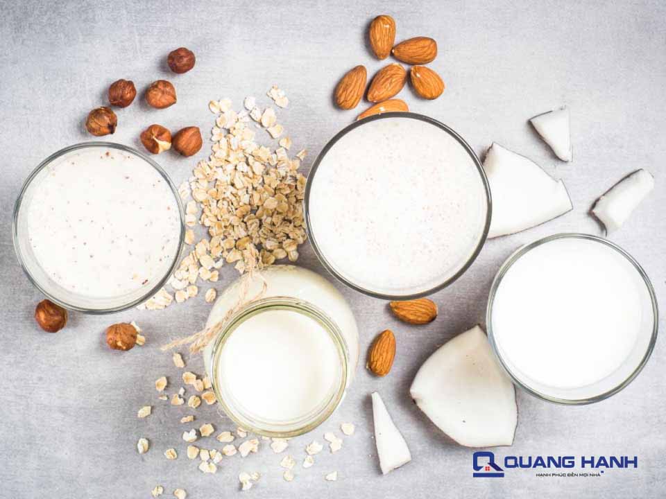 Sữa hạt với sữa bò