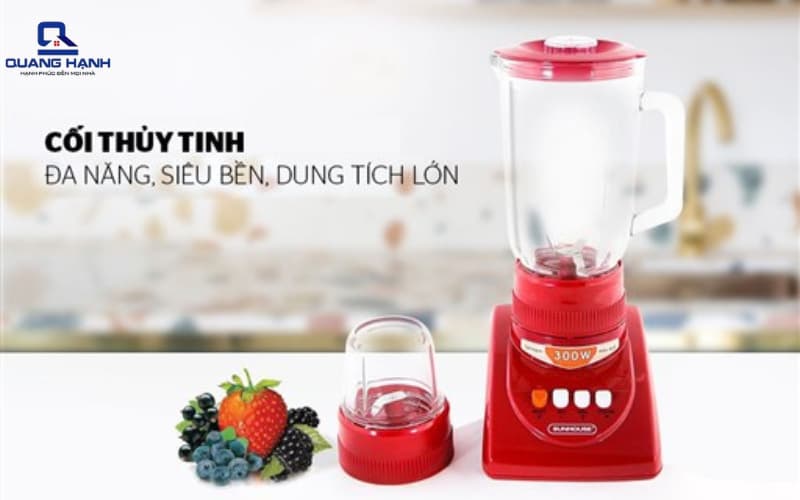 Máy xay sinh tố 300W