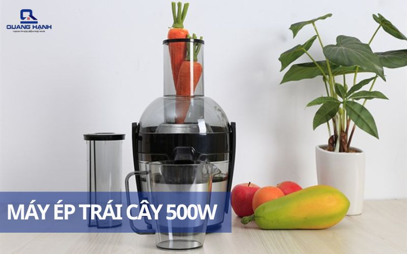 Máy ép trái cây 500W
