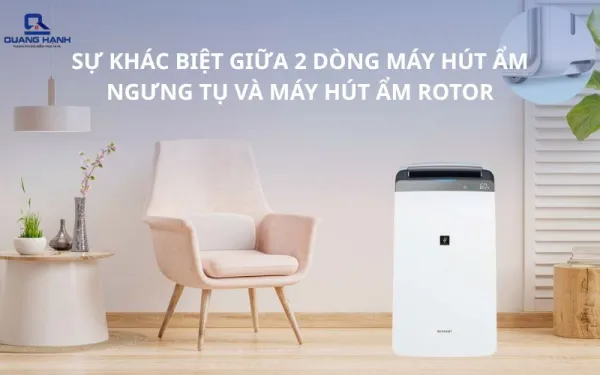 Sự khác biệt giữa 2 dòng máy hút ẩm rotor và máy hút ẩm ngưng tụ
