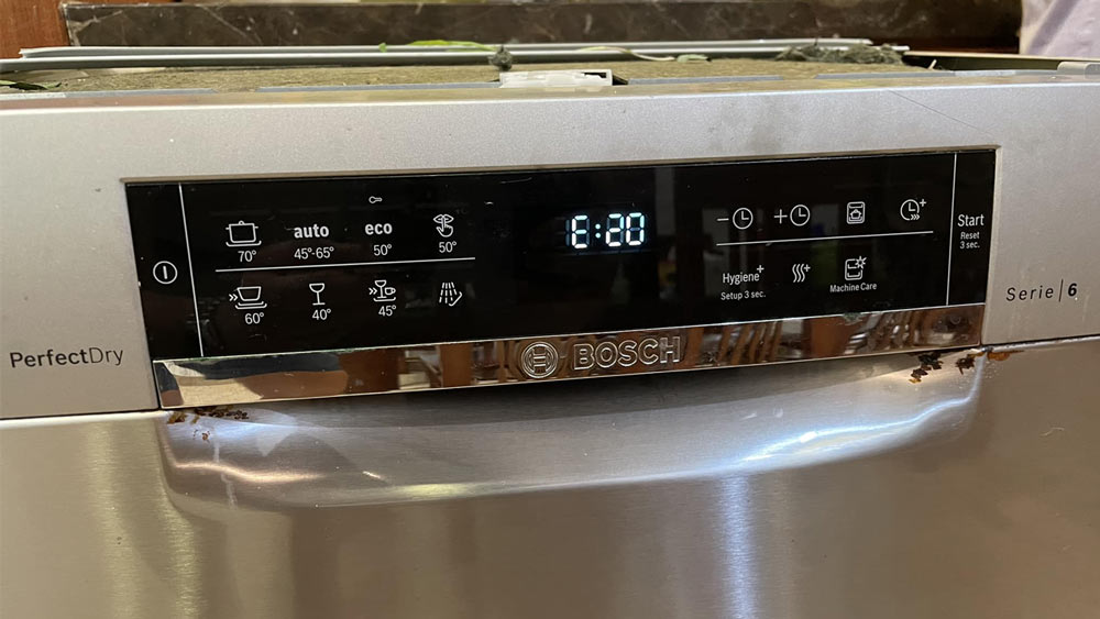Nguyên nhân lỗi E20