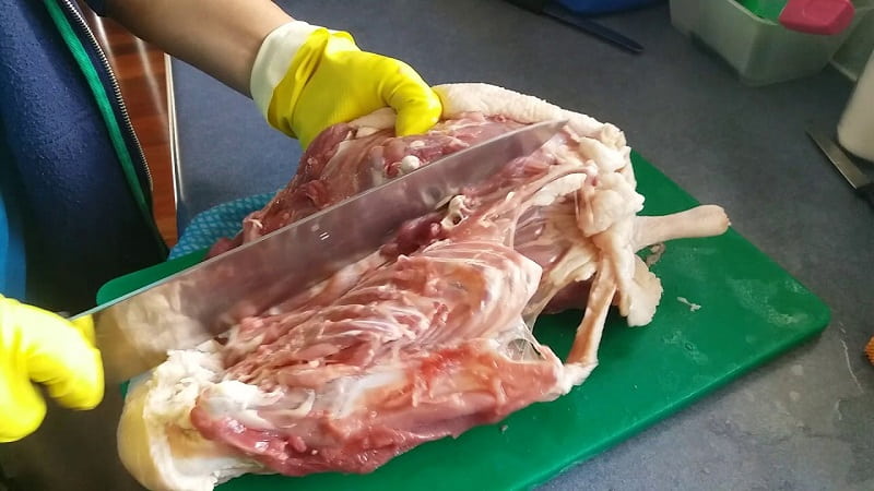 Sử Dụng Máy Xay Sinh Tố Cần Chú Ý Điều Gì 3
