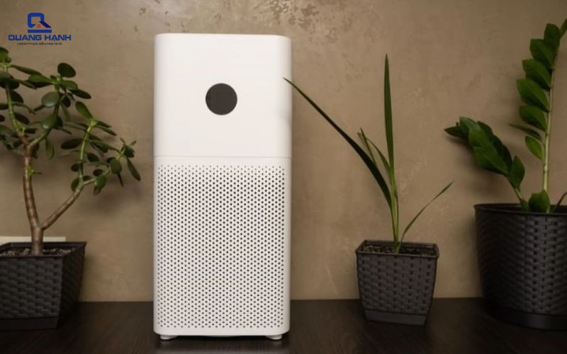 có nên mua máy hút ẩm kiêm máy lọc không khí