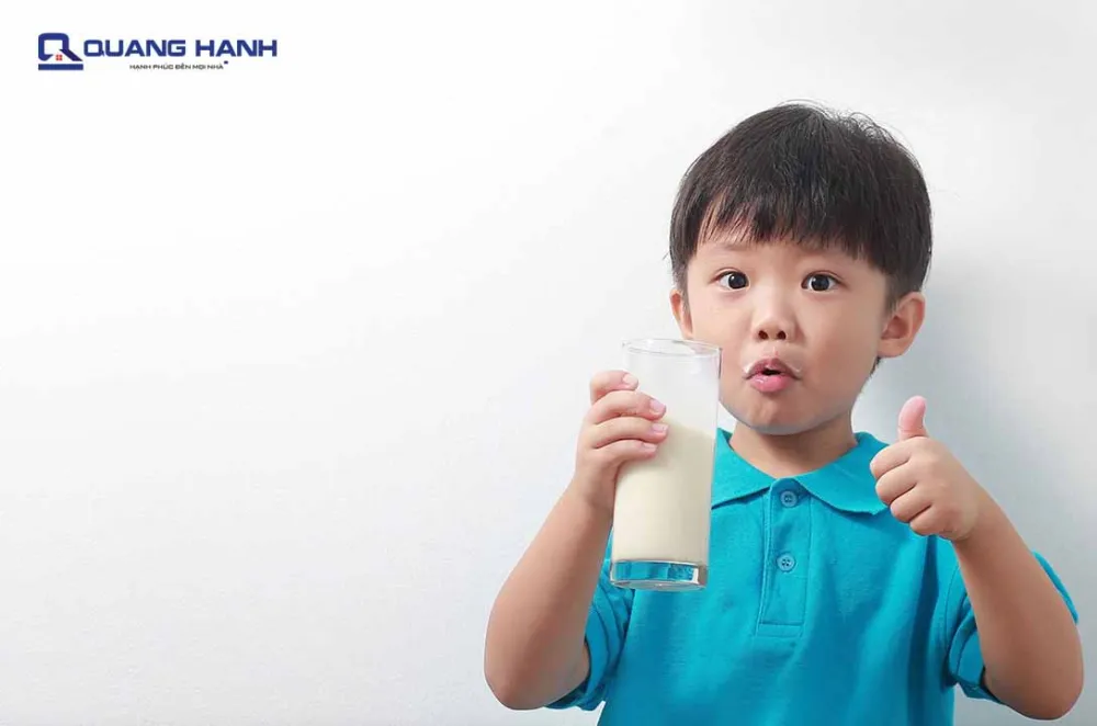 uống sữa hạt hay sữa bò