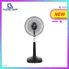 Quạt đứng Asia D16026-DV0