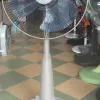 Quạt đứng Shapesa FAN-16SL