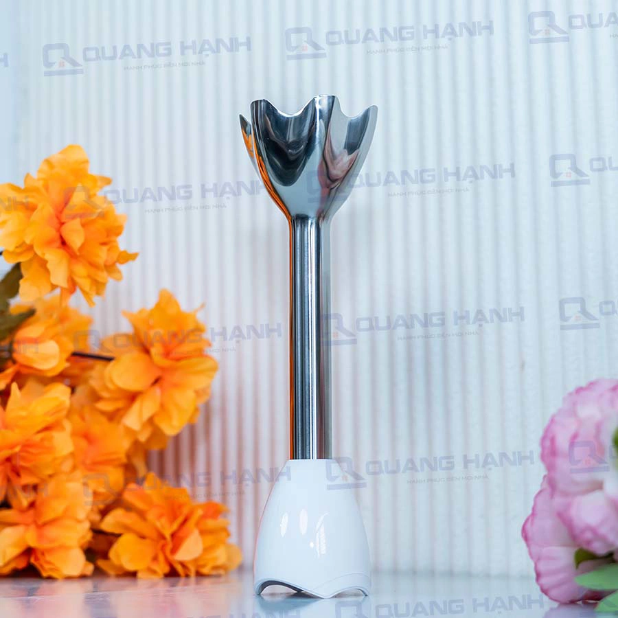 Ảnh thực tế Máy xay cầm tay Braun MQ500