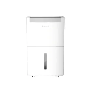 Máy hút ẩm kèm lọc không khí Lumias D6S-30L