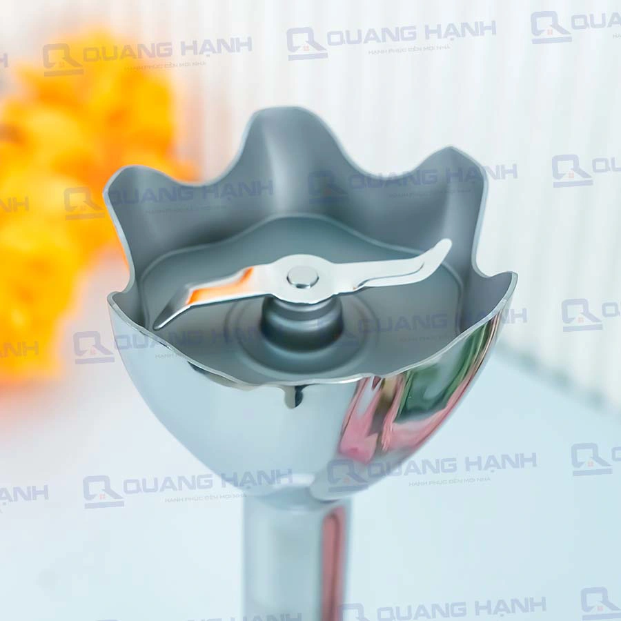 Ảnh thực tế Máy xay cầm tay Braun MQ500