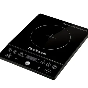 Bếp từ BlueStone ICB-6609