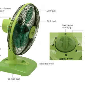 Quạt bàn Asia cỡ lớn B16001