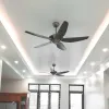 Quạt trần AIRFUSION AKAMANI STRONG