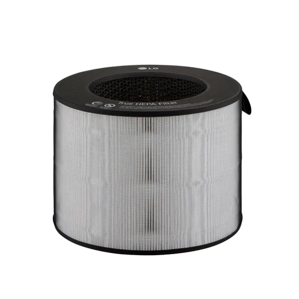 Máy lọc không khí LG PuriCare FS15GPSF0